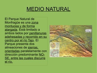 MEDIO NATURAL
El Parque Natural de
Monfragüe es una zona
montuosa y de forma
alargada. Está limitado a
ambos lados por penillanuras
adehesadas y recorrido en su
centro por el río Tajo. El
Parque presenta dos
alineaciones de sierras,
orientadas paralelamente con
dirección predominante NO-
SE, entre las cuales discurre
el río.
 