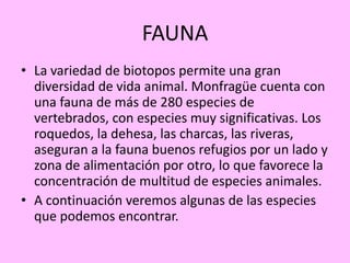 Sin embargo en la Solana, la vegetación está adaptada a la sequía y a las altas temperaturas estivales, y los árboles que aparecen son:  Encina, Acebuche, Piruétano o peral silvestre, Olivilla, Retamas, Cantuesos, Jaras y Aulagas. En el pastizal podemos encontrar hasta 40 especies distintas de herbáceas por m2.