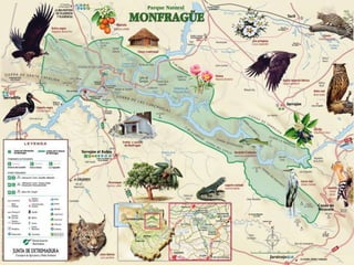 ZONA ZEPA Y POR QUÉ SE DECLARA PARQUECLIMA