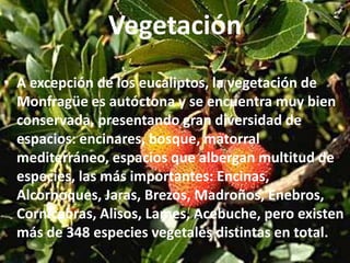 Monfragüe está declarada como Zona de Especial de Protección para las Aves desde 1991 gracias al valor incalculable de su avifauna, tanto por la gran diversidad de las distintas especies que en el parque habitan como por ser el grupo de las aves el más numeroso.Se ha aprobado la ley 1/2007, por la que se declara Monfragüe como Parque Nacional. Este paraje se define como "un reducto de bosque mediterráneo en el corazón de Extremadura", y pasa a ser el 14º parque nacional del estado español. 