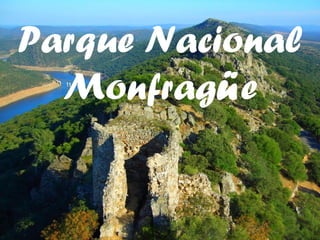 Parque Nacional
  Monfragüe
 