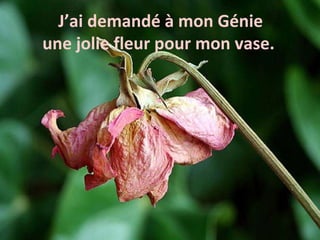 J’ai demandé à mon Génie une jolie fleur pour mon vase.  