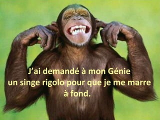 J’ai demandé à mon Génie un singe rigolo pour que je me marre à fond.  