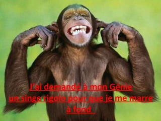 J’ai demandé à mon Génie un singe rigolo pour que je me marre à fond  