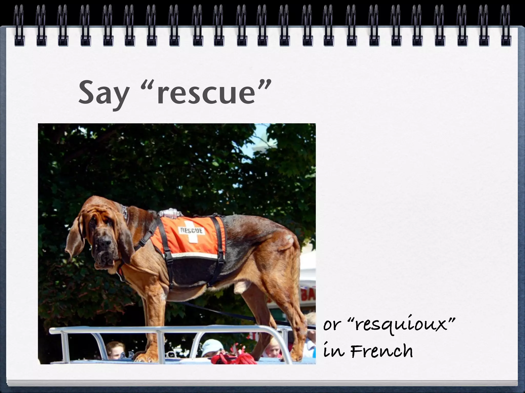 Say “rescue”
or “resquioux”
in French
 