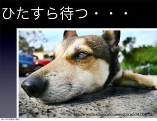 http://www.ﬂickr.com/photos/madhorse5/415958992/
2011   7   28
 