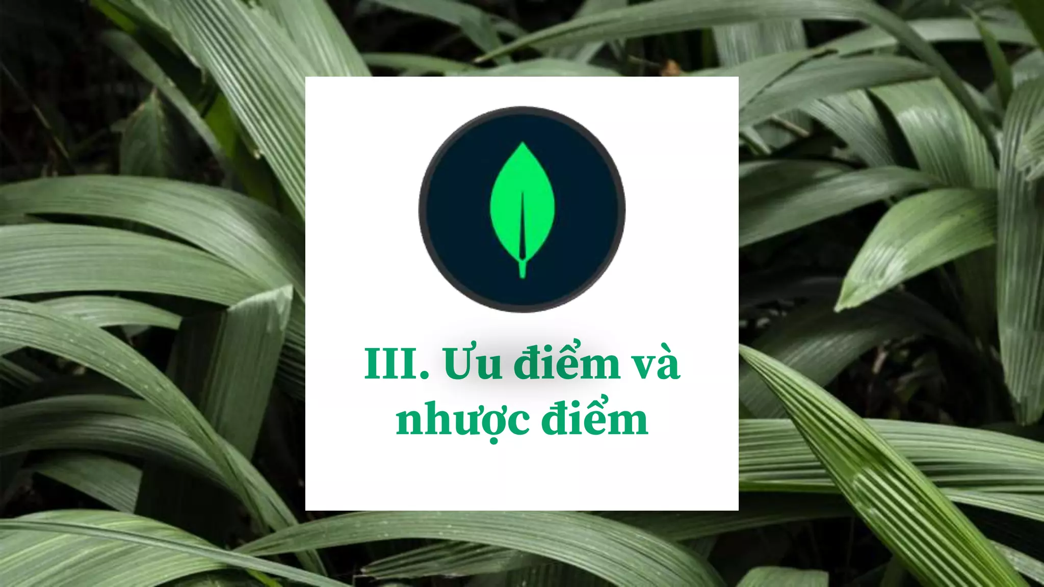 III. Ưu điểm và
nhược điểm
 