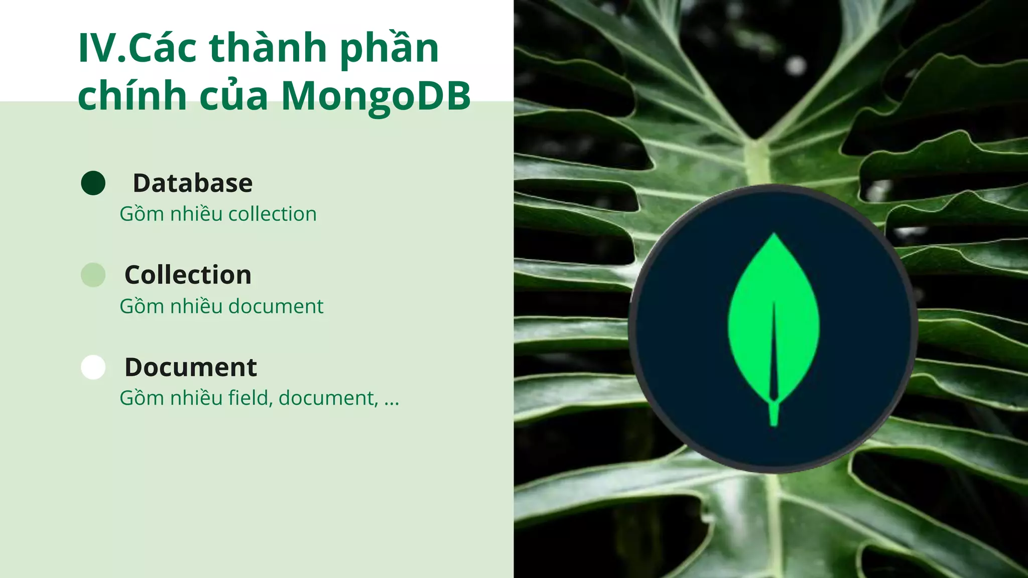 IV.Các thành phần
chính của MongoDB
Document
Collection
Database
Gồm nhiều collection
Gồm nhiều document
Gồm nhiều field, document, ...
 