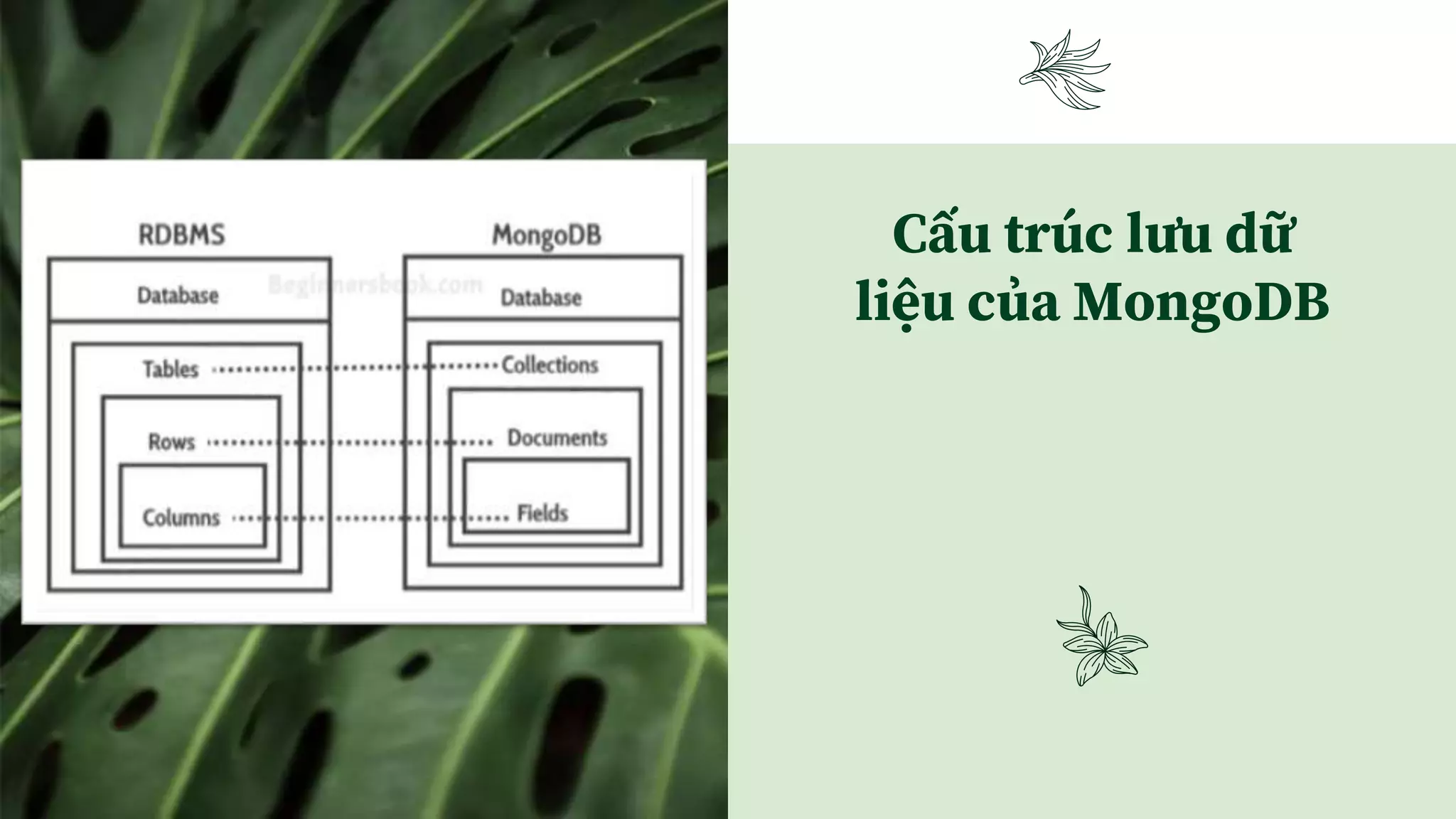 Cấu trúc lưu dữ
liệu của MongoDB
 