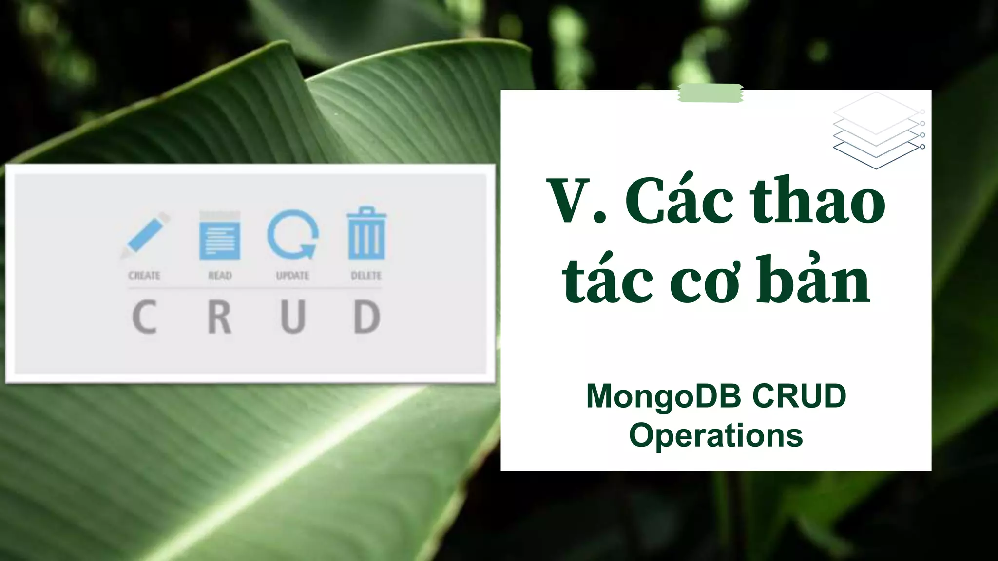 V. Các thao
tác cơ bản
MongoDB CRUD
Operations
 