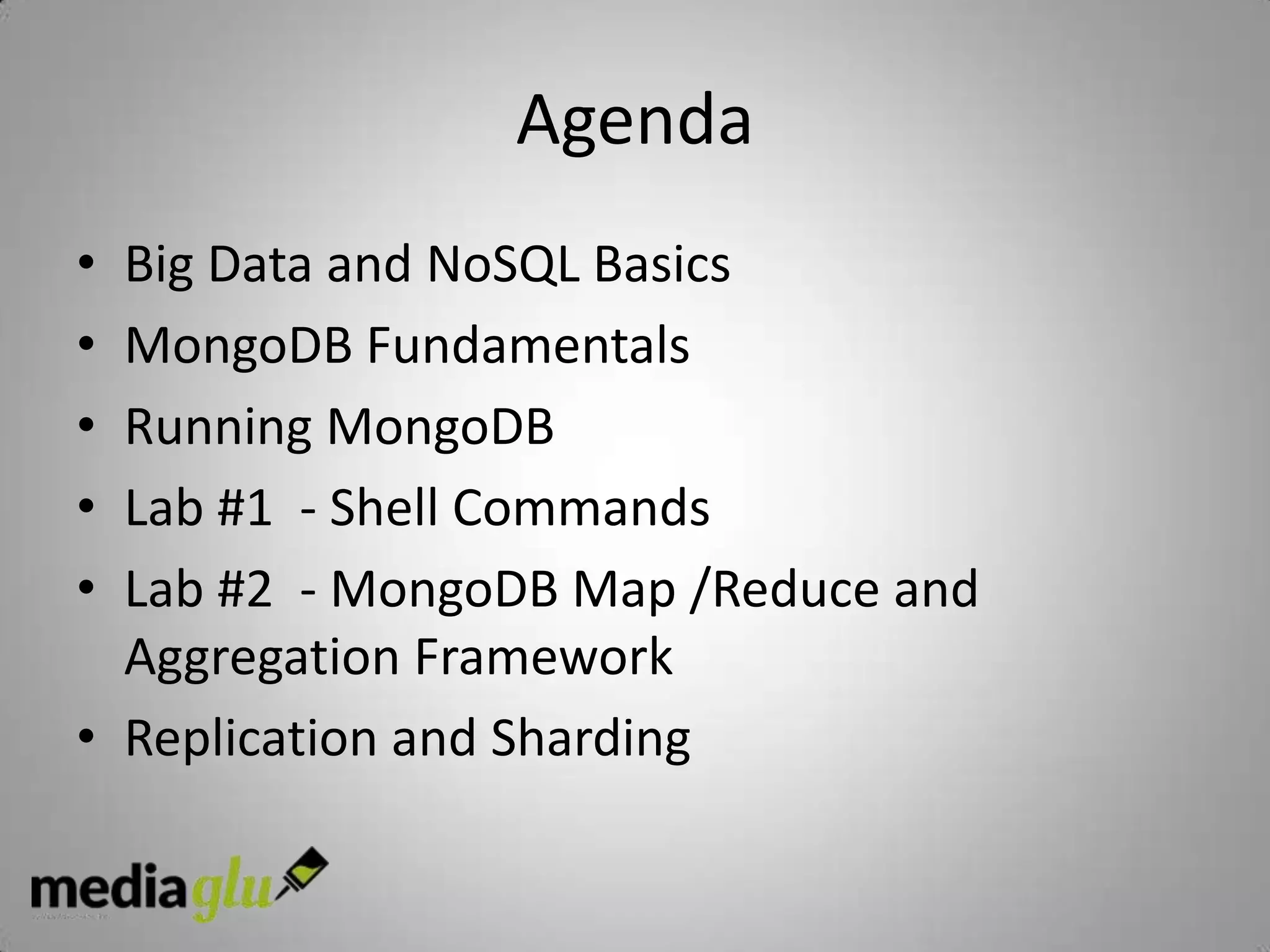 Agenda
• Big Data and NoSQL Basics
• MongoDB Fundamentals
• Running MongoDB
• Lab #1 - Shell Commands
• Lab #2 - MongoDB Map /Reduce and
  Aggregation Framework
• Replication and Sharding
 