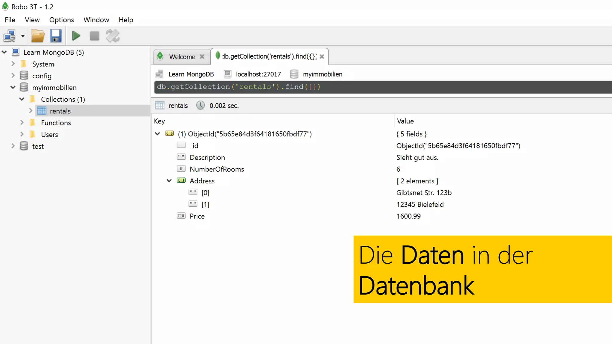 Die Daten in der
Datenbank
 