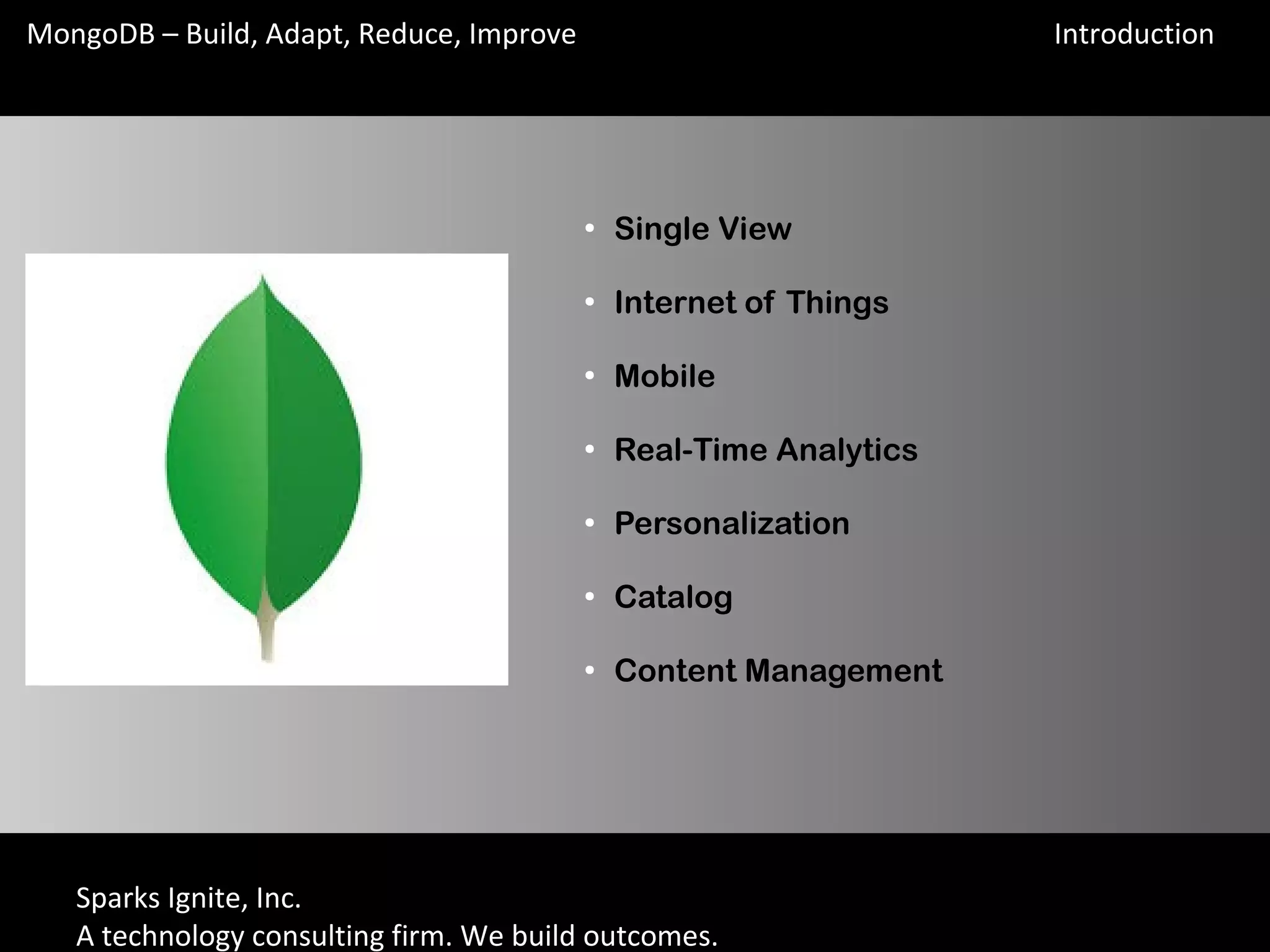 Sparks Ignite, Inc.
A technology consulting firm. We build outcomes.
MongoDB – Build, Adapt, Reduce, Improve
●
Single View
●
Internet of Things
●
Mobile
●
Real-Time Analytics
●
Personalization
●
Catalog
●
Content Management
Introduction
 