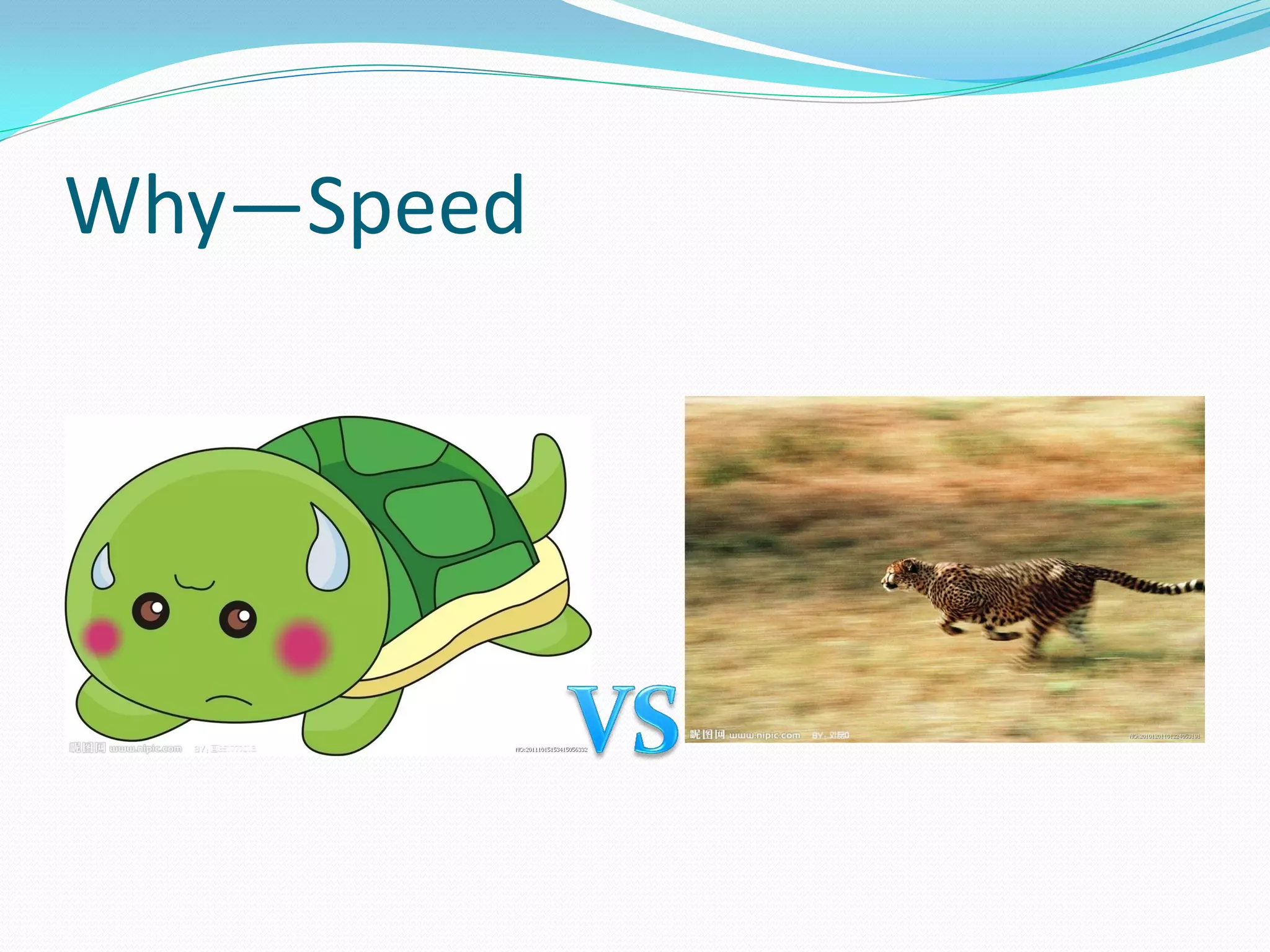 Why—Speed
 