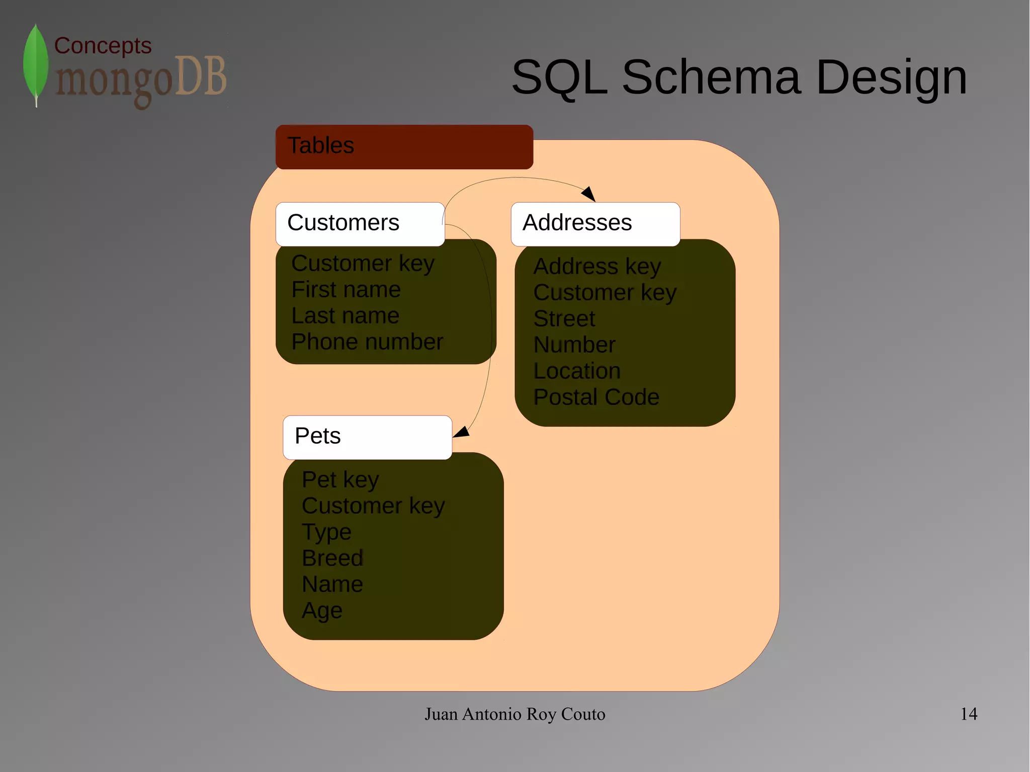 Tables 
Customers Addresses 
Juan Antonio Roy Couto 14 
Concepts 
SQL Schema Design 
Customer key 
First name 
Last name 
Phone number 
Address key 
Customer key 
Street 
Number 
Location 
Postal Code 
Pets 
Pet key 
Customer key 
Type 
Breed 
Name 
Age 
 