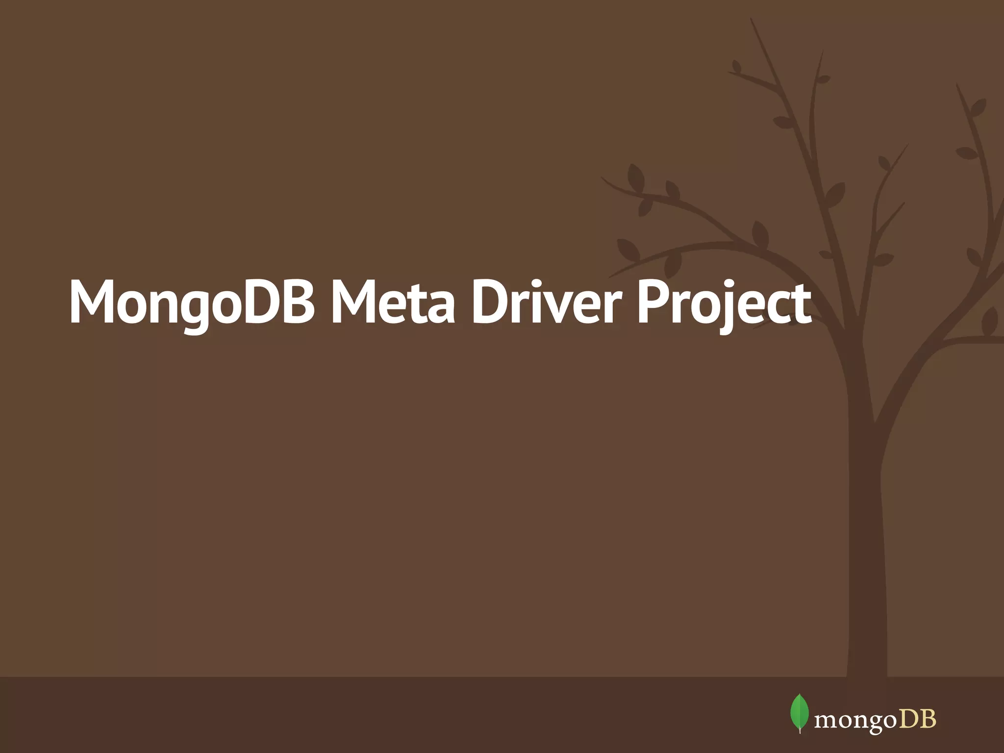 MongoDB Meta Driver Project
 