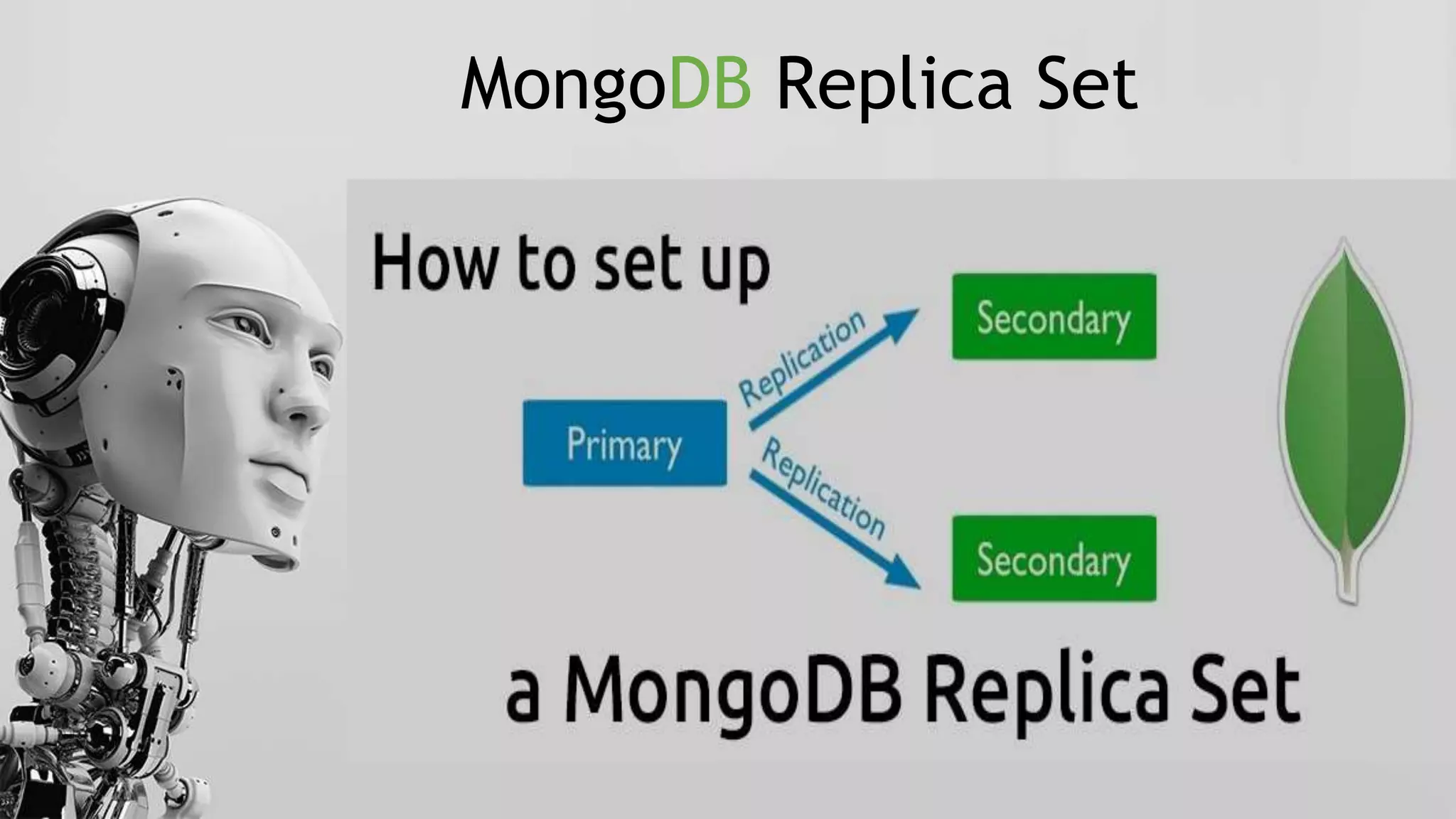 MongoDB Replica Set
 