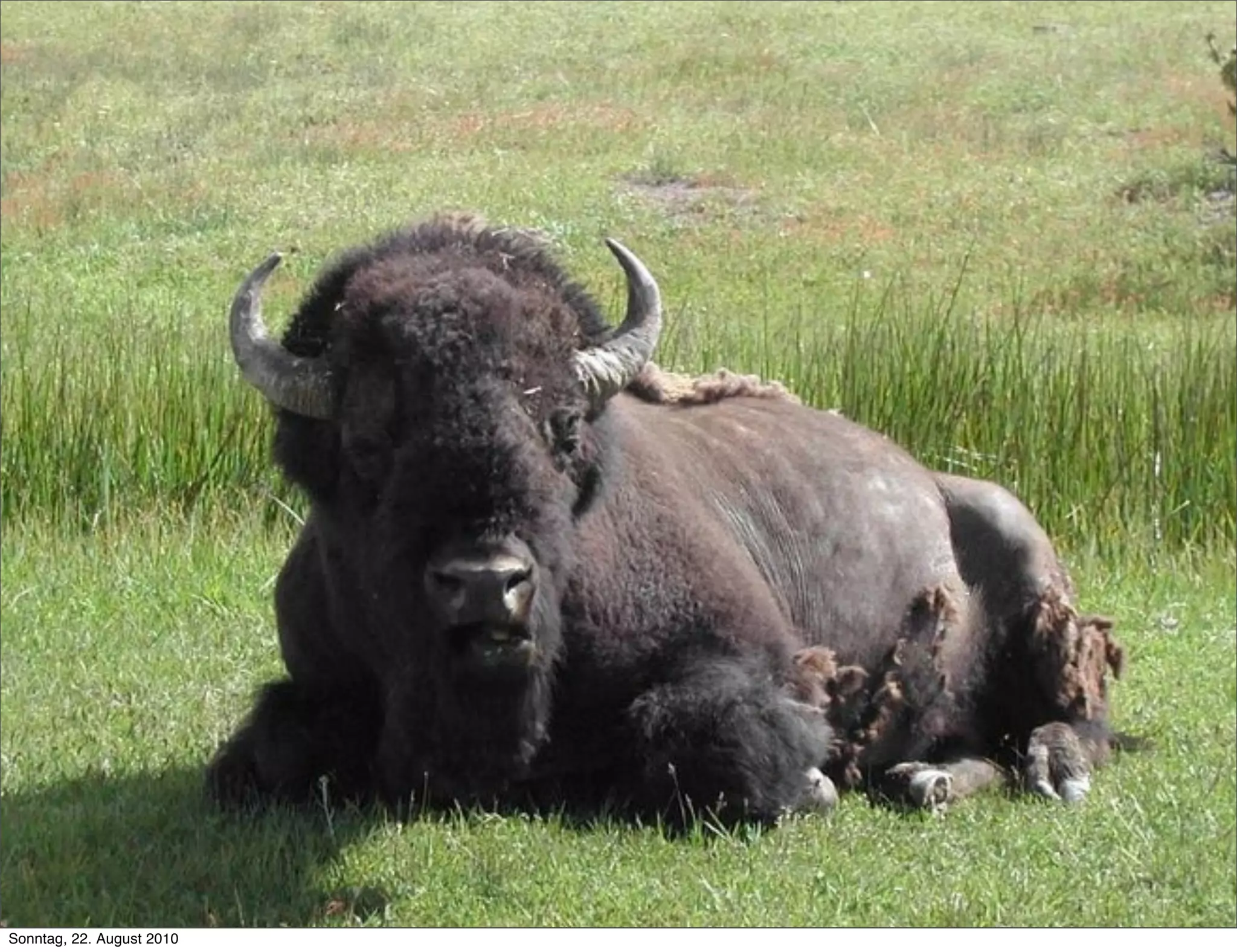Sonntag, 22. August 2010
 