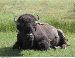 Sonntag, 22. August 2010
 