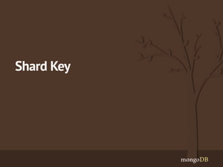 Shard Key 
 