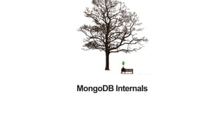 MongoDB Internals
 