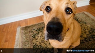 david@davidmturner.comdavid@davidmturner.com8
 