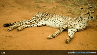 david@davidmturner.com123 david@davidmturner.com
 