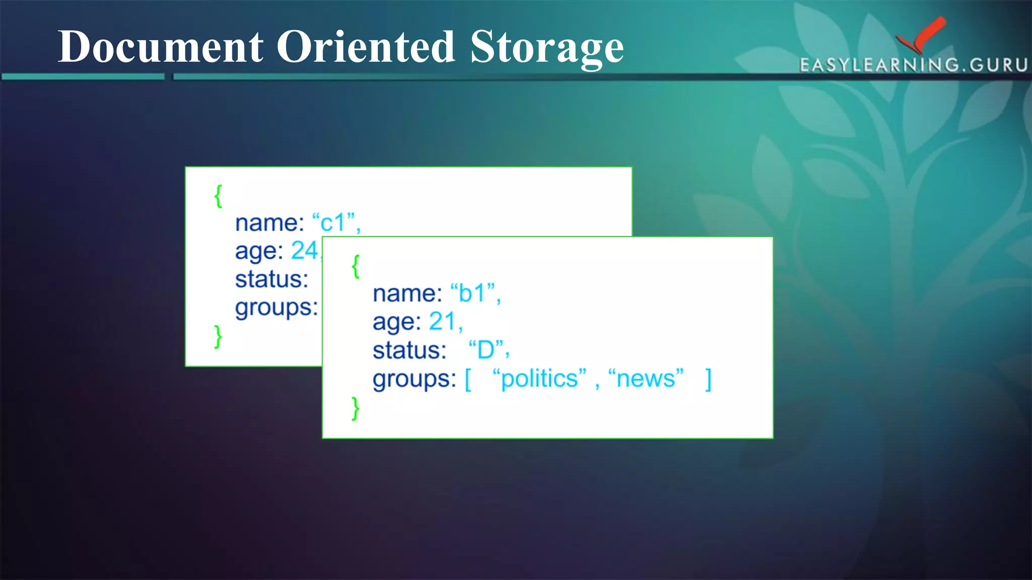 Document Oriented Storage  