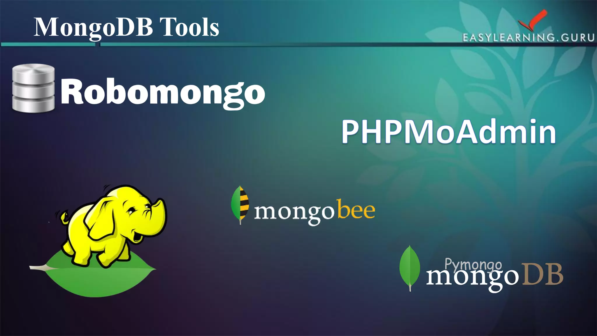 Pymongo 
MongoDB Tools  