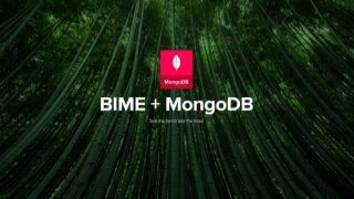 BIME Analytics : Mongo DB v.3 