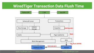 WiredTiger Transaction Data Flush Time
Python API C API Java API
Schema & Cursor
Row Storage
Column
Storage
Cache
Block Management
Transactions
Snapshot
Page read/write
WAL
Database Files Journal
PDFLUSH 60 S
log_flush 100 MS
Sync
LifeTime 60 S
 