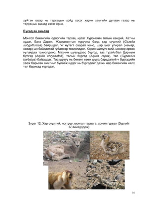 Mongol buhungiin biology | PDF
