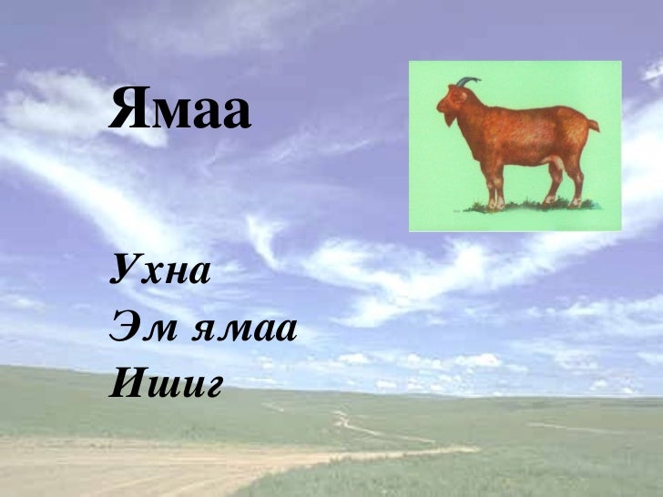Mongol Hel 3 Tsahim Hicheel Mongol hel 3 tsahim hicheel