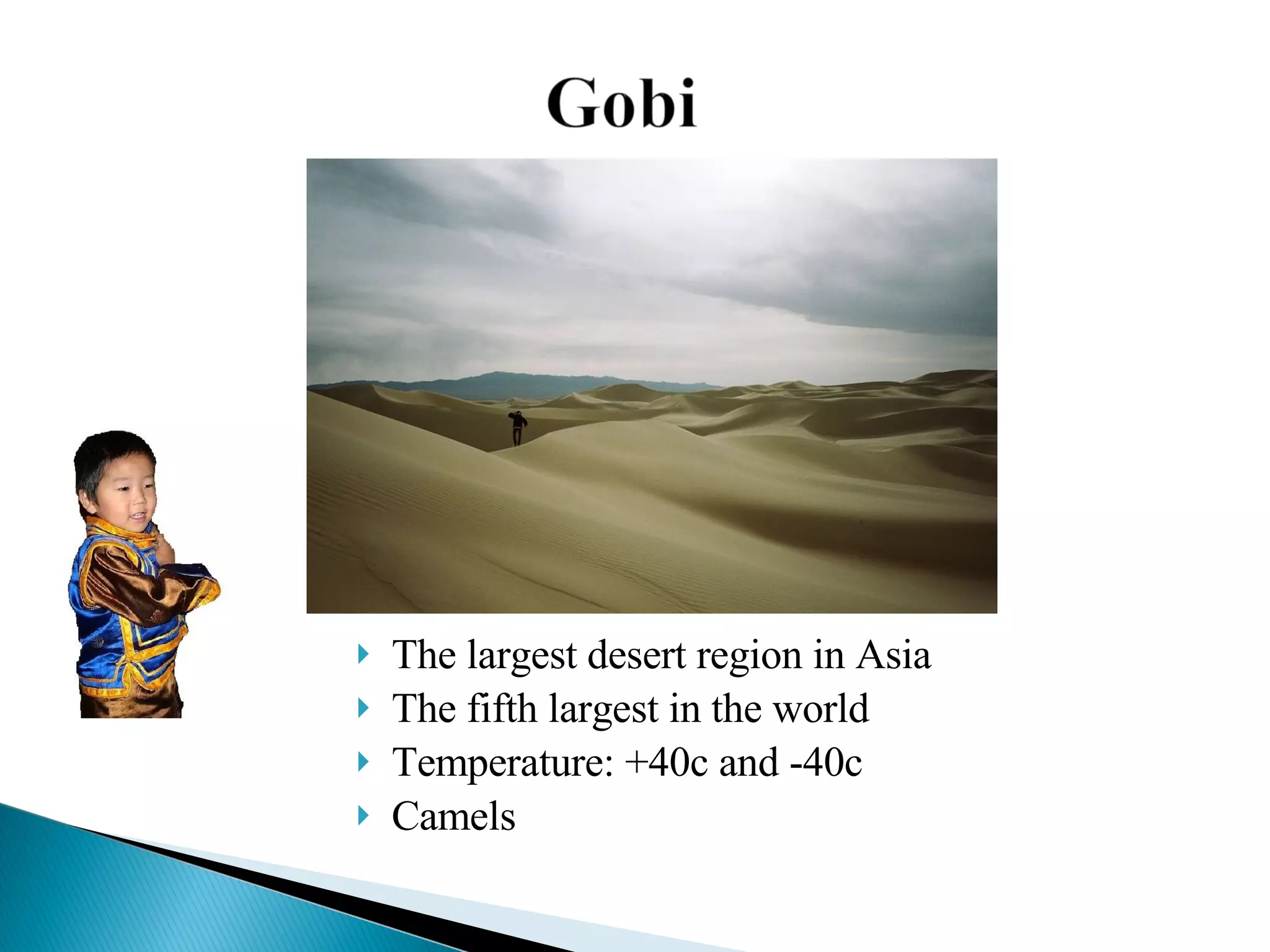 The largest desert region in Asia The fifth largest in the world Temperature: +40c and -40c Camels  