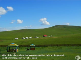 View of the place where lamb was roasted in a hole on the ground,
traditional mongolian way of cooking
 