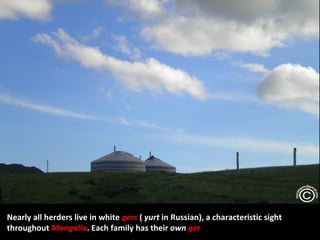 Nearly all herders live in white gers ( yurt in Russian), a characteristic sight
throughout Mongolia. Each family has their own ger
 