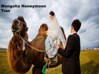 Mongolia Honeymoon
Tour
 