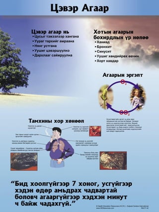 Mongolian | PDF