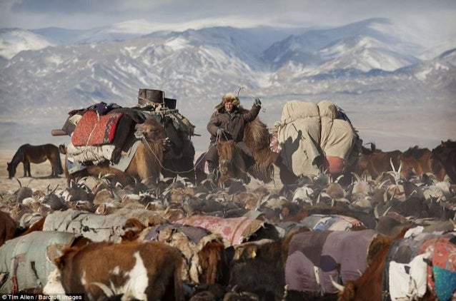 Mongolian Nomads Spring Migration Photographer Timothy Allen Mongolian Nomads Spring Migration Photographer Timothy Allen