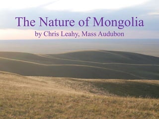 The Nature of Mongoliaby Chris Leahy, Mass Audubon,[object Object]