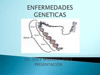 ENFERMEDADES GENETICAS LIC: LUCY MARLENY PÉREZ PRESENTACIÓN 
