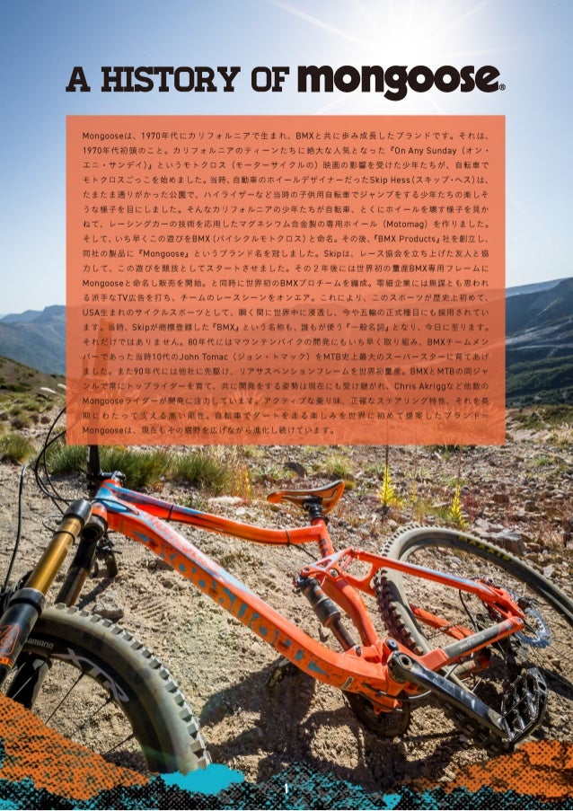 mongoose ruddy expert