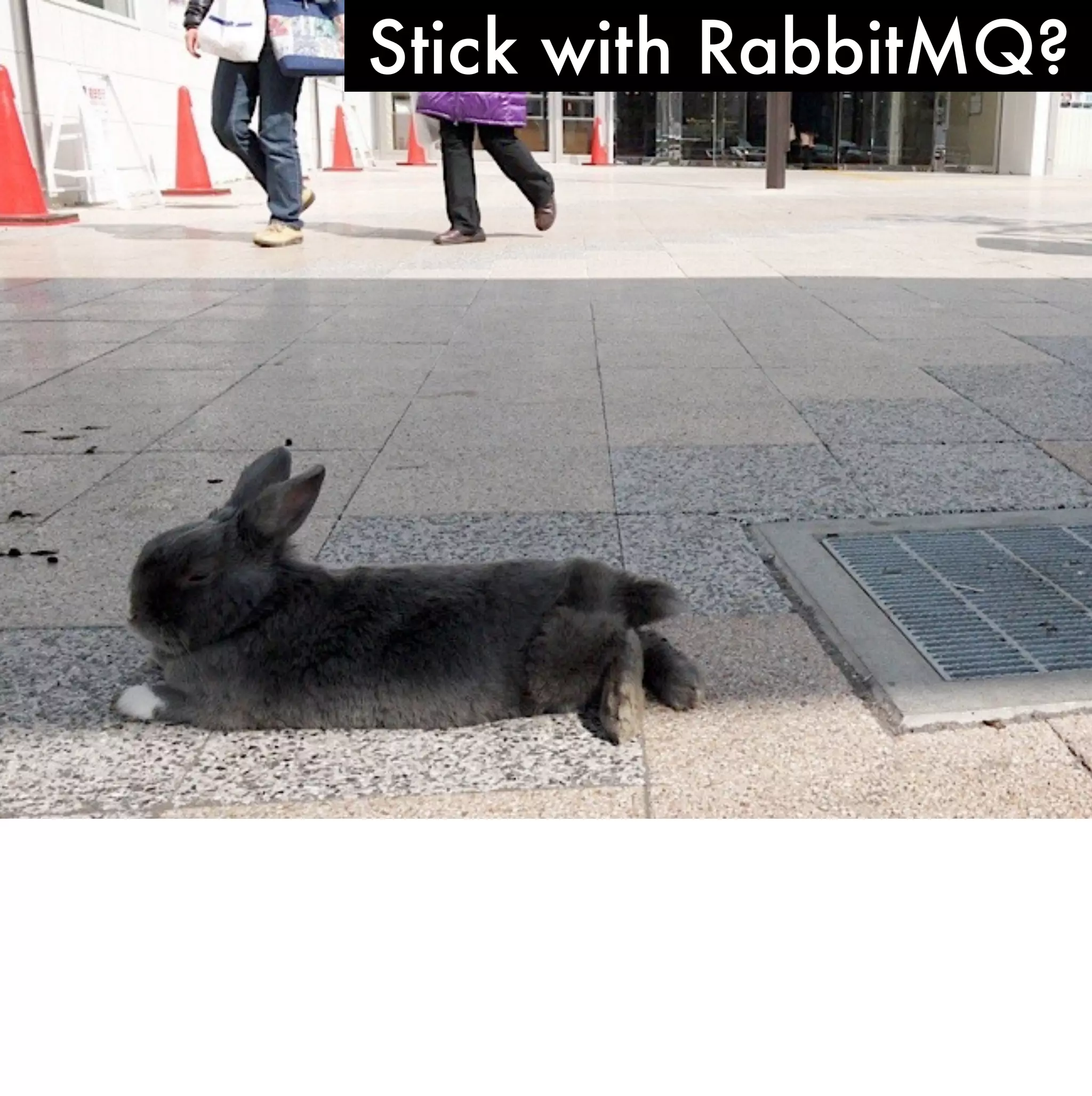Stick with RabbitMQ?
 