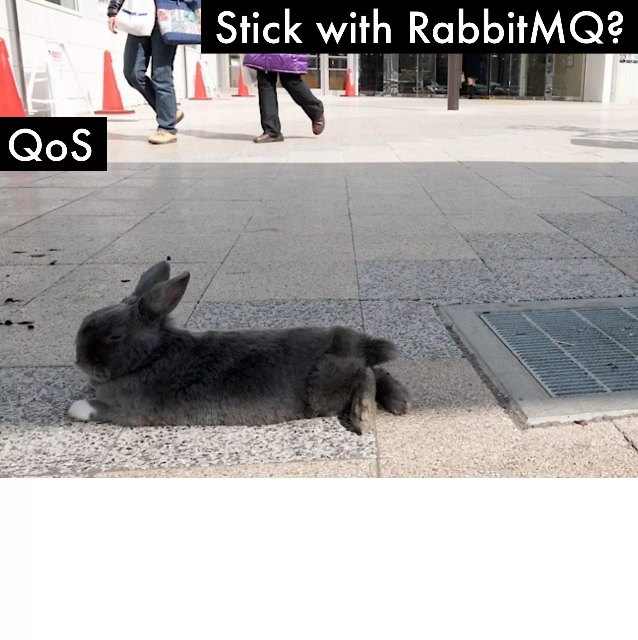 Stick with RabbitMQ?

QoS
 