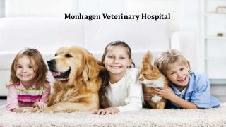Monhagen Veterinary Hospital
 