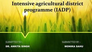 SUBMITTED TO :-
Intensive agricultural district
programme (IADP)
DR. ANKITA SINGH
SUBMIKTTED BY :-
MONIKA SAHU
 