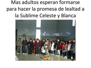 Mas adultos esperan formarse
para hacer la promesa de lealtad a
la Sublime Celeste y Blanca
 