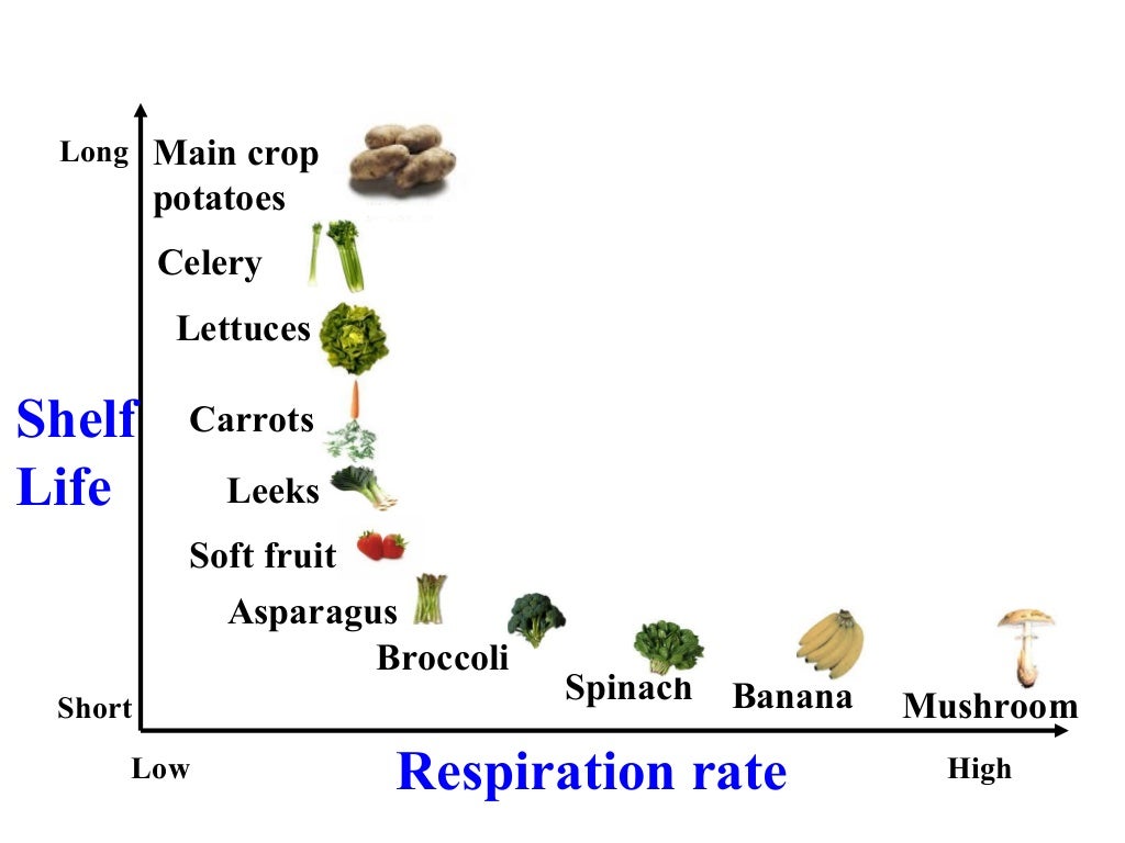 Controlled atmosphere and modified atmosphere storage