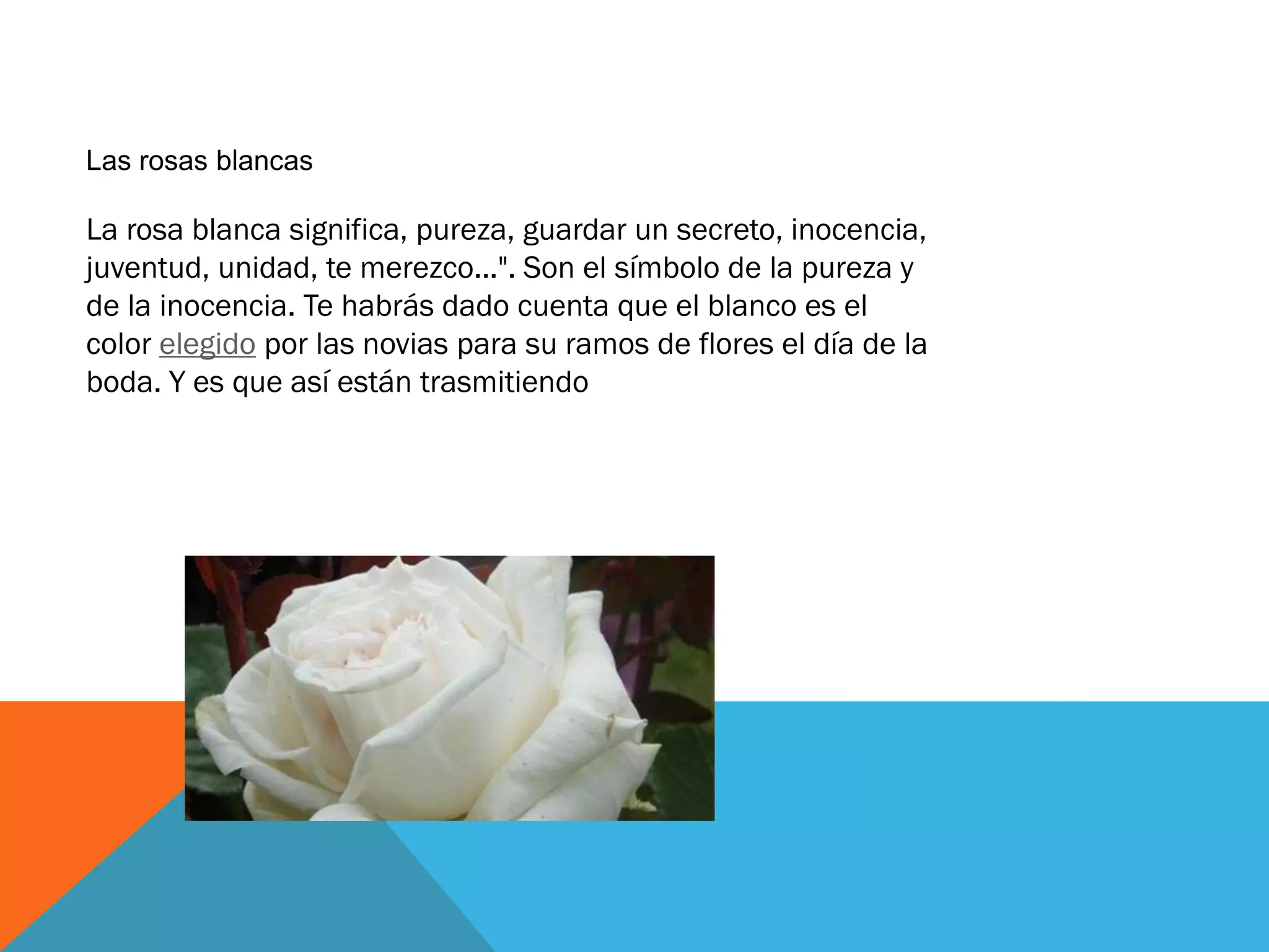 Las rosas blancas

La rosa blanca significa, pureza, guardar un secreto, inocencia,
juventud, unidad, te merezco...". Son el símbolo de la pureza y
de la inocencia. Te habrás dado cuenta que el blanco es el
color elegido por las novias para su ramos de flores el día de la
boda. Y es que así están trasmitiendo
 