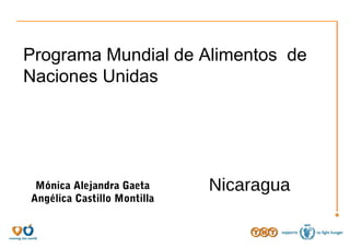 Programa Mundial de Alimentos de
Naciones Unidas
Mónica Alejandra Gaeta
Angélica Castillo Montilla
Nicaragua
 